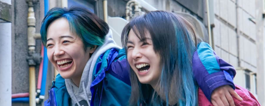 てつさん予定 アイルランド航空 白黒コンビと緑 シネマカルチャー